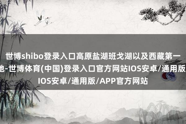 世博shibo登录入口高原盐湖班戈湖以及西藏第一大湖色林错等地-世博体育(中国)登录入口官方网站IOS安卓/通用版/APP官方网站