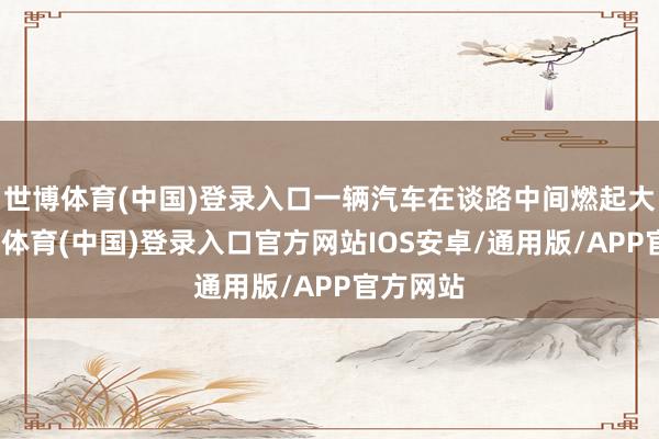 世博体育(中国)登录入口一辆汽车在谈路中间燃起大火-世博体育(中国)登录入口官方网站IOS安卓/通用版/APP官方网站
