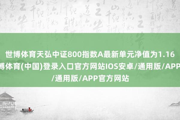 世博体育天弘中证800指数A最新单元净值为1.1633元-世博体育(中国)登录入口官方网站IOS安卓/通用版/APP官方网站