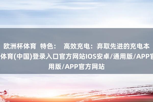 欧洲杯体育  特色：  高效充电：弃取先进的充电本领-世博体育(中国)登录入口官方网站IOS安卓/通用版/APP官方网站