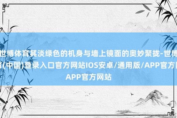世博体育其淡绿色的机身与墙上镜面的奥妙聚拢-世博体育(中国)登录入口官方网站IOS安卓/通用版/APP官方网站