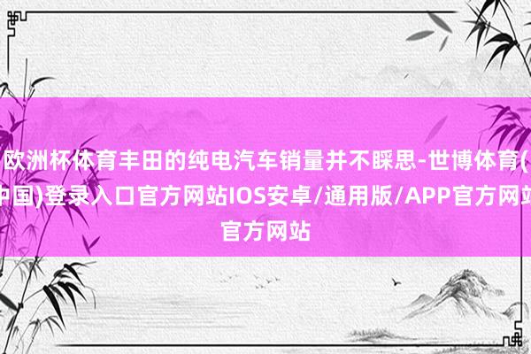 欧洲杯体育丰田的纯电汽车销量并不睬思-世博体育(中国)登录入口官方网站IOS安卓/通用版/APP官方网站