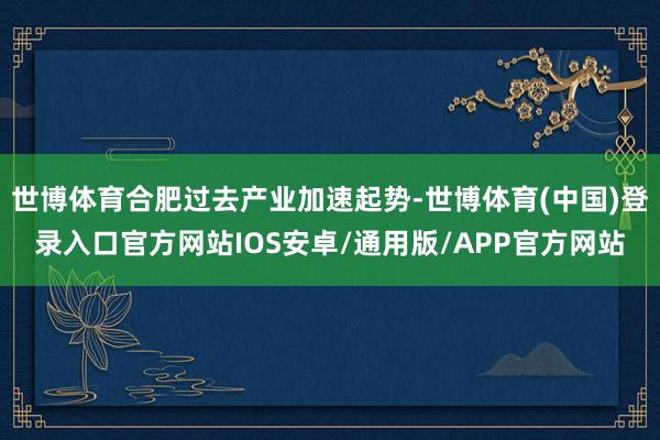 世博体育合肥过去产业加速起势-世博体育(中国)登录入口官方网站IOS安卓/通用版/APP官方网站
