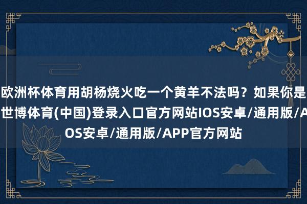 欧洲杯体育用胡杨烧火吃一个黄羊不法吗？如果你是古代的剑客-世博体育(中国)登录入口官方网站IOS安卓/通用版/APP官方网站