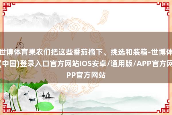 世博体育果农们把这些番茄摘下、挑选和装箱-世博体育(中国)登录入口官方网站IOS安卓/通用版/APP官方网站