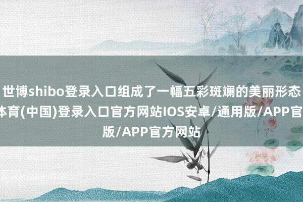 世博shibo登录入口组成了一幅五彩斑斓的美丽形态-世博体育(中国)登录入口官方网站IOS安卓/通用版/APP官方网站