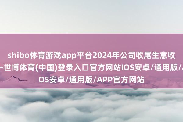 shibo体育游戏app平台2024年公司收尾生意收入53.57亿元-世博体育(中国)登录入口官方网站IOS安卓/通用版/APP官方网站