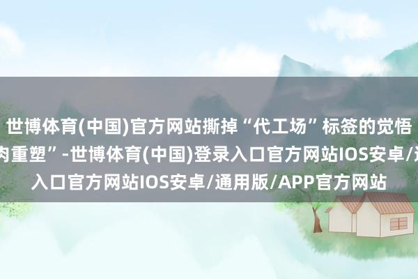 世博体育(中国)官方网站撕掉“代工场”标签的觉悟淌若说数字化是“肌肉重塑”-世博体育(中国)登录入口官方网站IOS安卓/通用版/APP官方网站