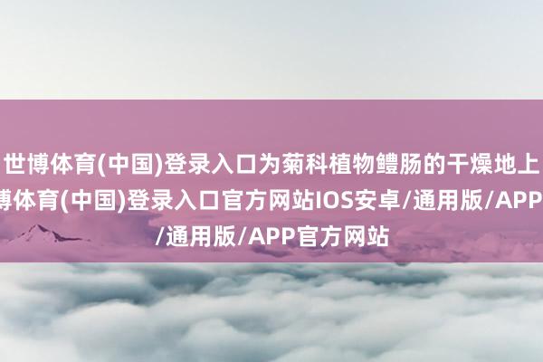 世博体育(中国)登录入口为菊科植物鳢肠的干燥地上部分-世博体育(中国)登录入口官方网站IOS安卓/通用版/APP官方网站