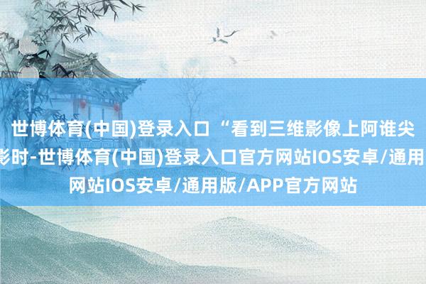 世博体育(中国)登录入口 “看到三维影像上阿谁尖锐的三角菱形暗影时-世博体育(中国)登录入口官方网站IOS安卓/通用版/APP官方网站