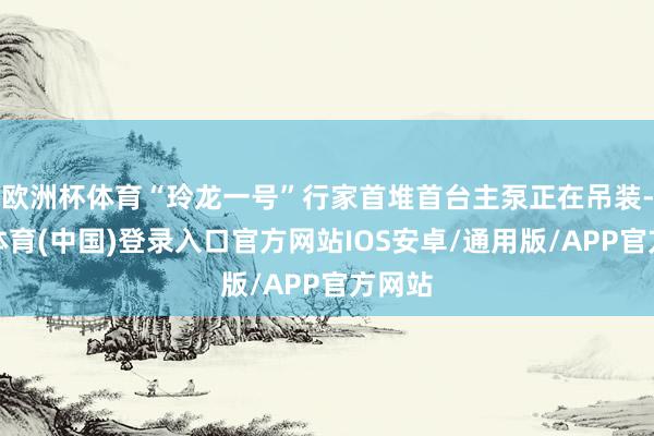 欧洲杯体育“玲龙一号”行家首堆首台主泵正在吊装-世博体育(中国)登录入口官方网站IOS安卓/通用版/APP官方网站