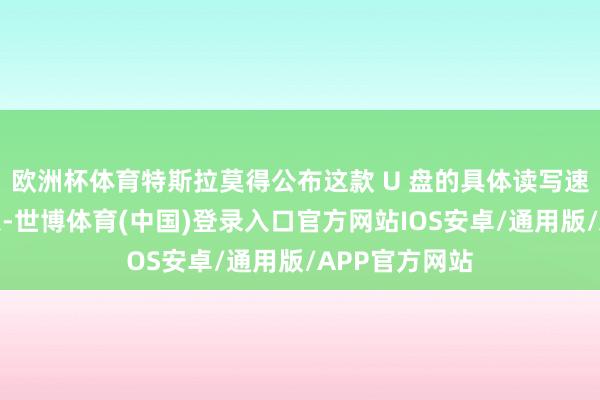 欧洲杯体育特斯拉莫得公布这款 U 盘的具体读写速率等规格信息-世博体育(中国)登录入口官方网站IOS安卓/通用版/APP官方网站